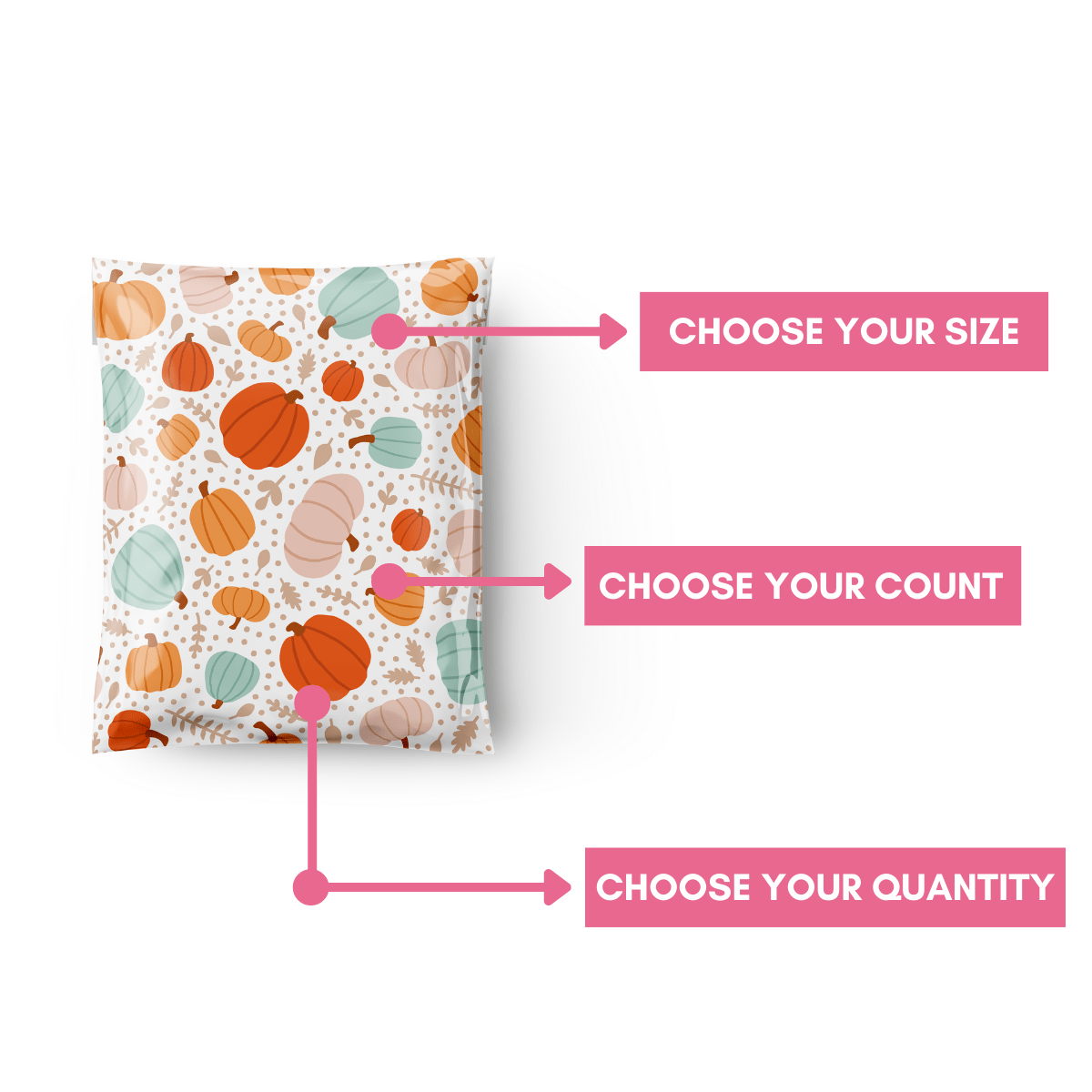 6x9 Pumpkin Patch Poly Mailer