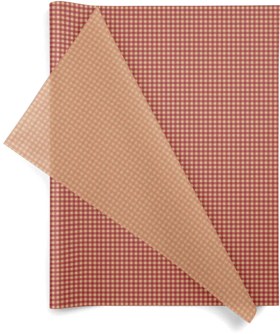 Red Gingham 20x30 Design Tissue Paper