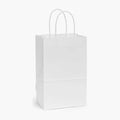 5.25X3.25X8.375 White Kraft Shopping Bags - case of 250